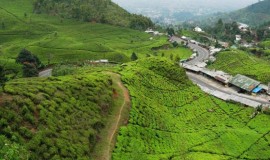 photo_puncak-5cc9309a7d976